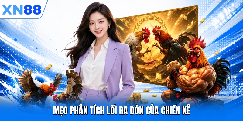 meo phan tich loi ra don cua chien ke Mẹo phân tích lối ra đòn của chiến kê