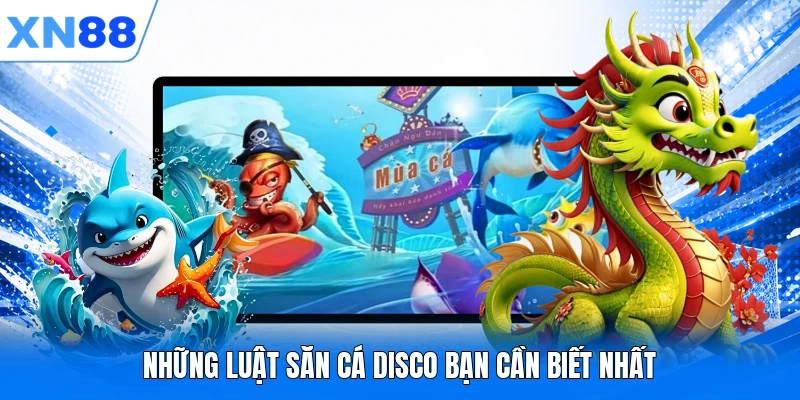 nhung luat san ca disco ban can biet nhat Những luật săn cá Disco bạn cần biết nhất