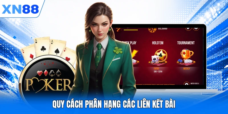 Quy cách phân hạng các liên kết bài